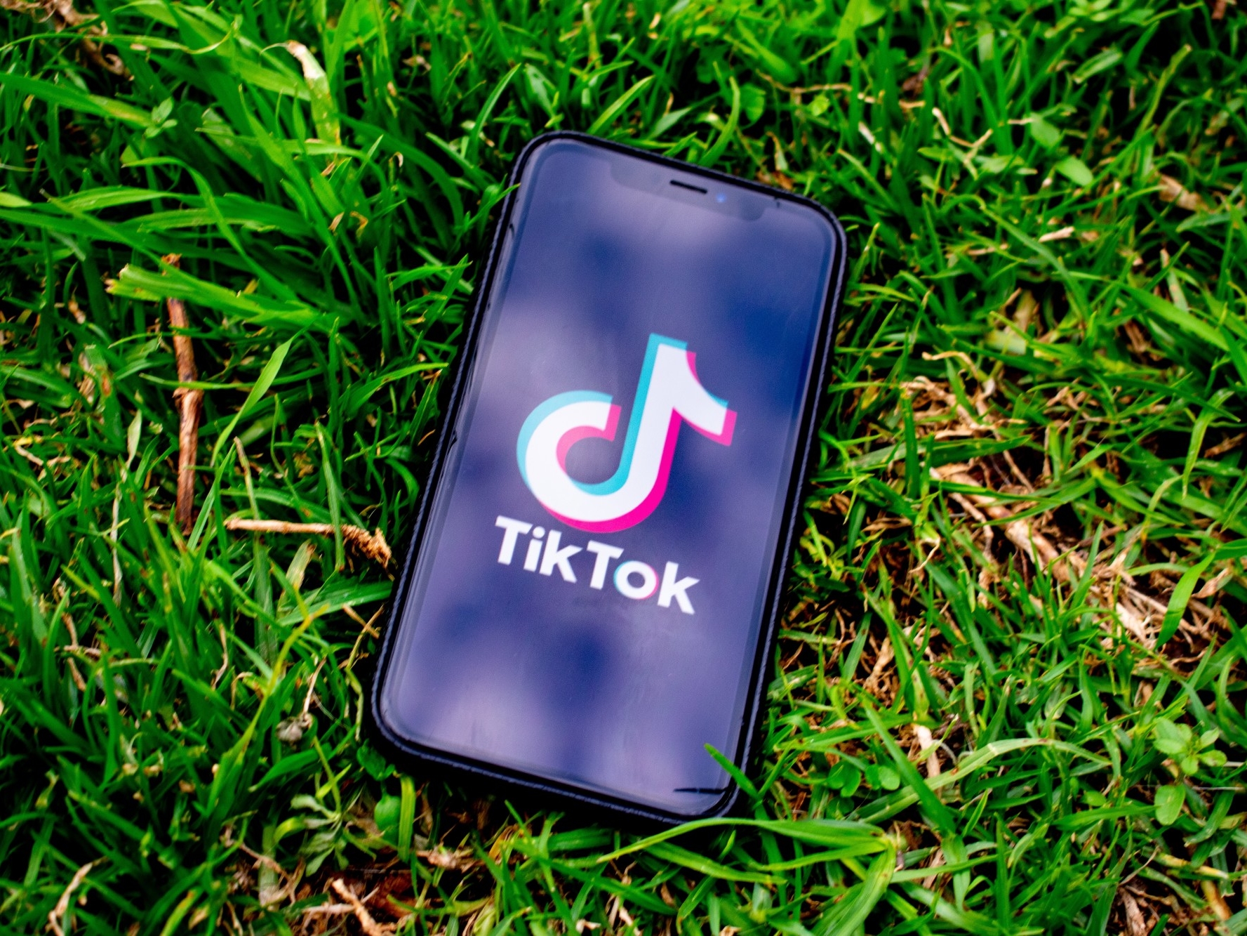 phone in grass with TikTok app open